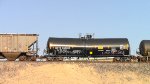 EB Manifest Frt at Erie NV W-Pshr -76